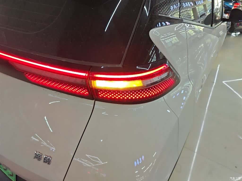 BYD Seagull, 2024 8