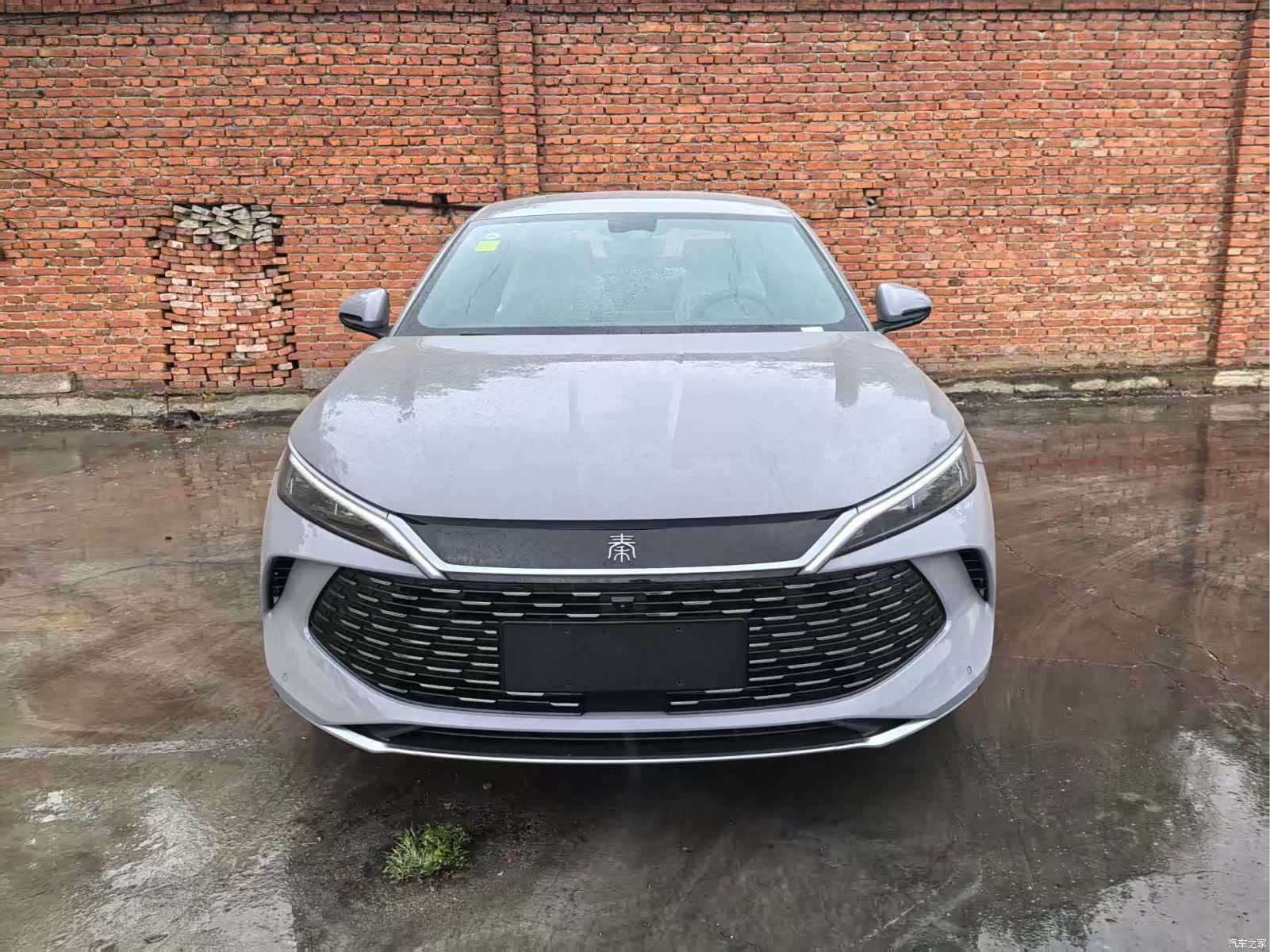 BYD Qin, 2026 2