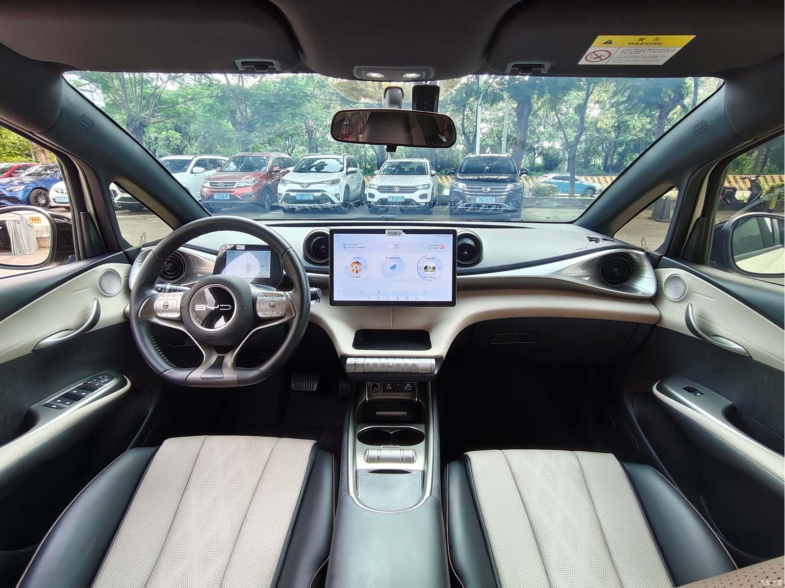 BYD Dolphin, 2024 12