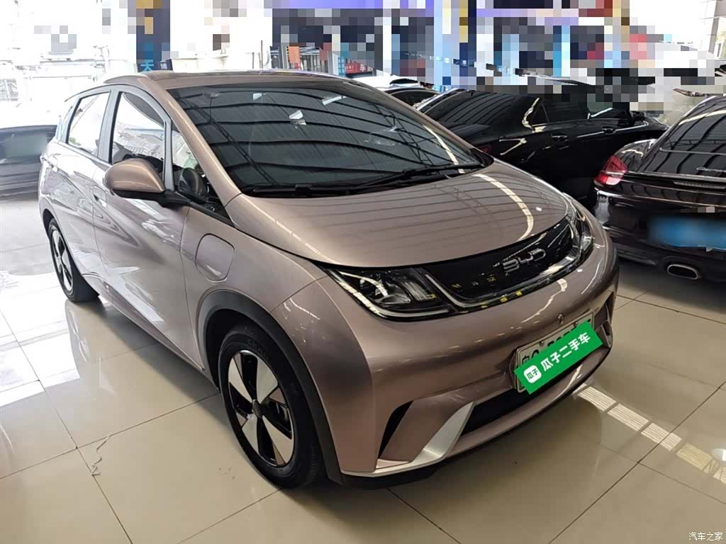 BYD Dolphin, 2023 4