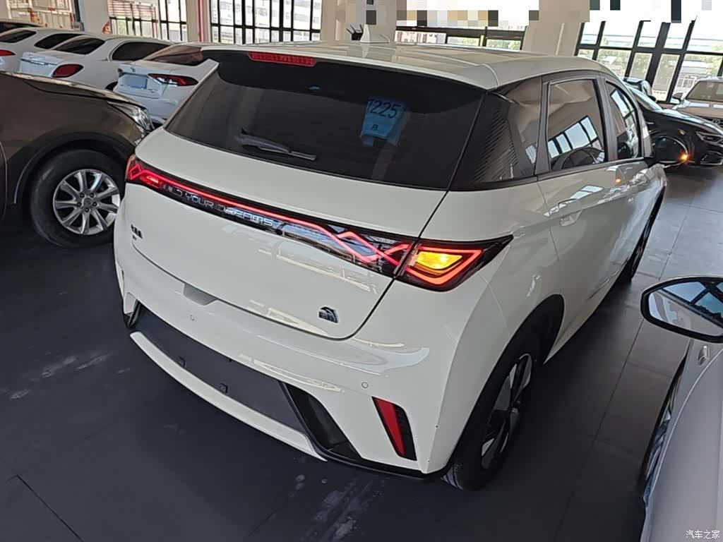 BYD Dolphin, 2023 7