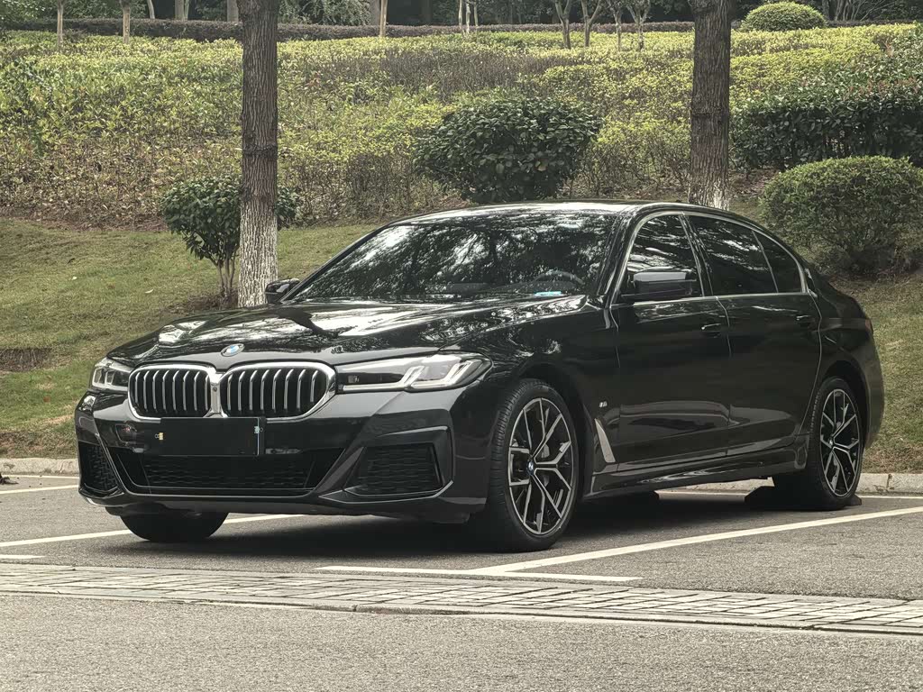BMW 5 Series 5 2021 530Li Premium M Sport
