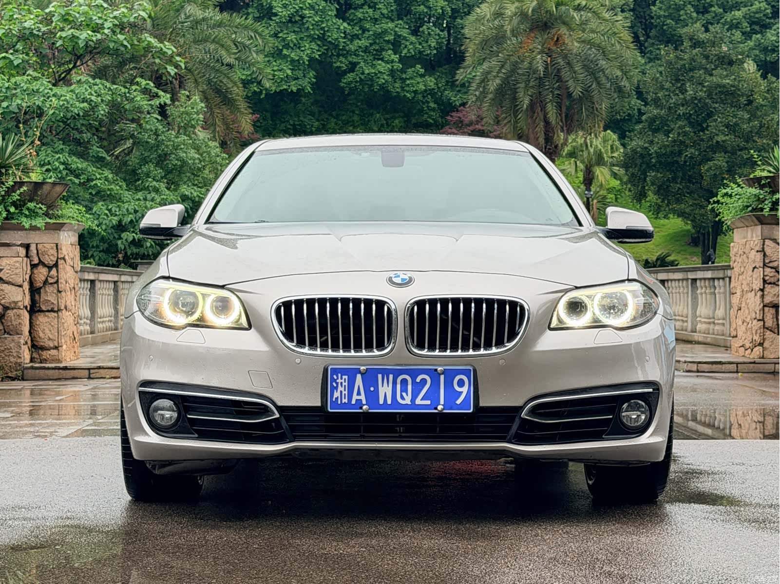 BMW 5 Series, 2016 2