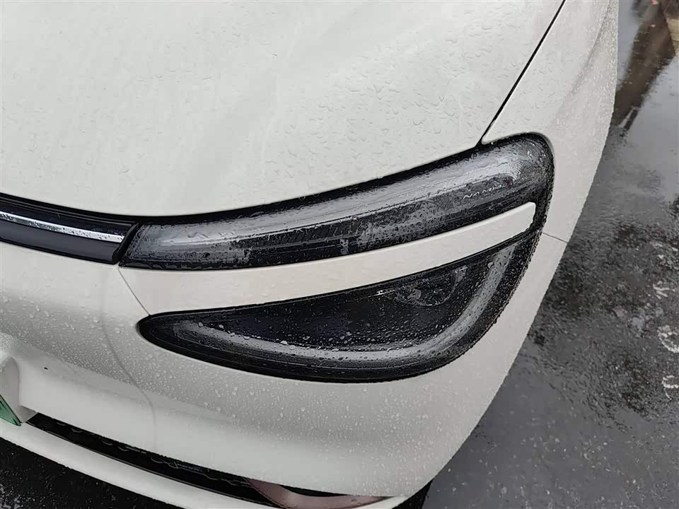 Dongfeng Nammi Nano 01