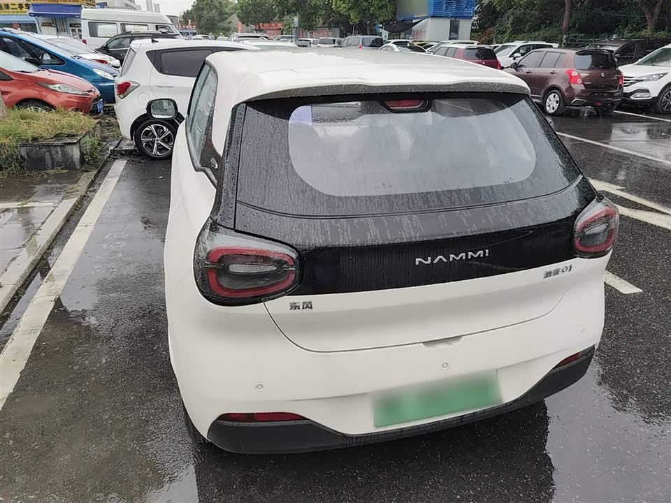 Dongfeng Nammi Nano 01