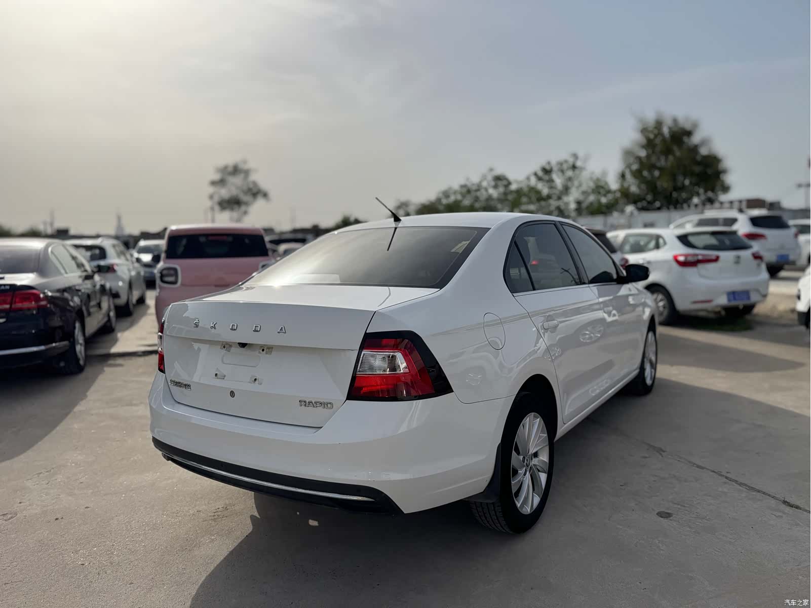 Skoda Rapid, 2019 все фото