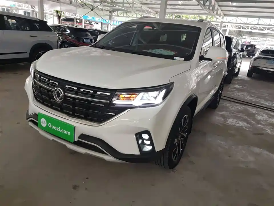 Forthing Popular T5L