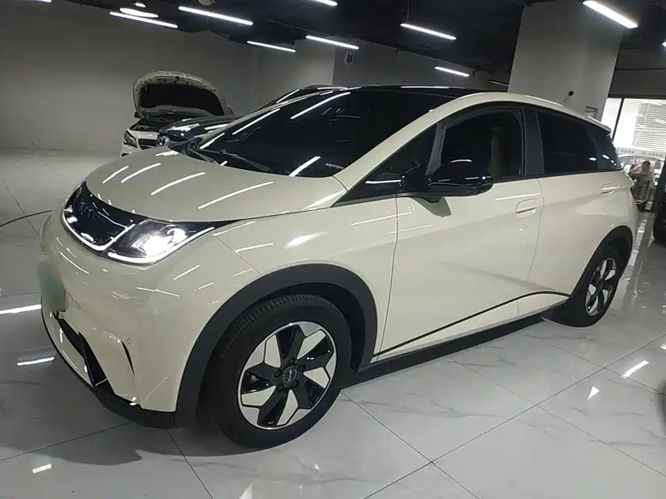 BYD dolphin