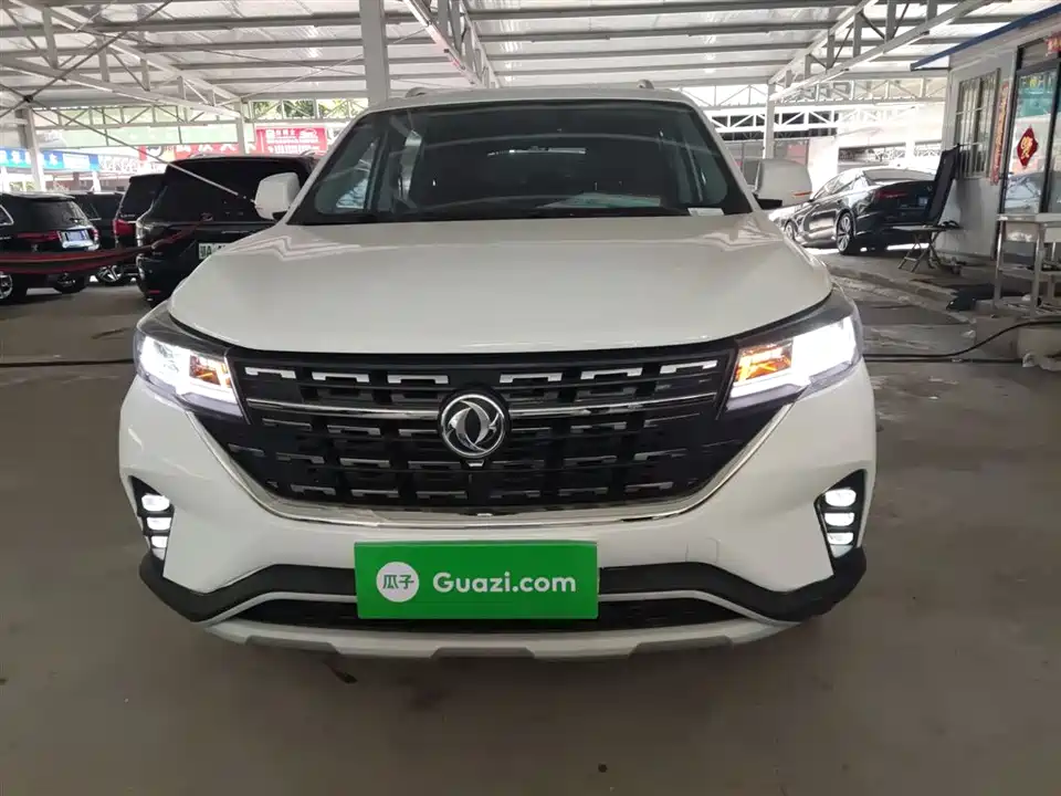 Forthing Popular T5L