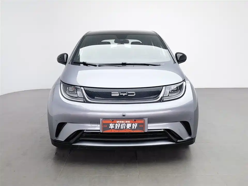 BYD dolphin