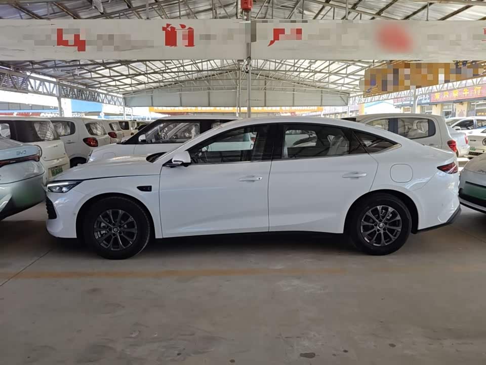 BYD Qin L