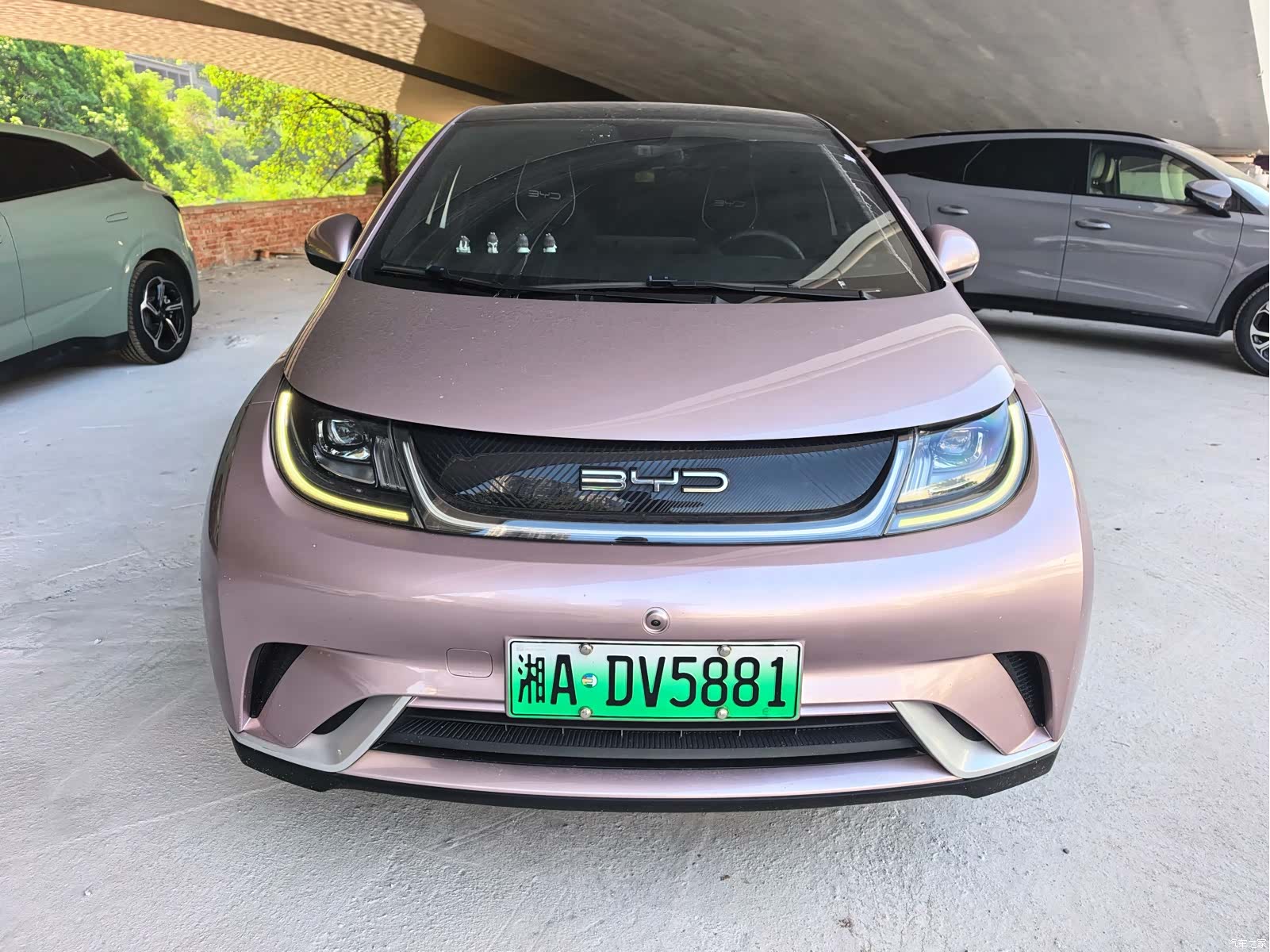 BYD Dolphin, 2022 2