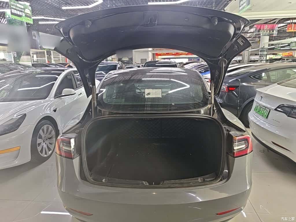 Tesla Model 3, 2021 19