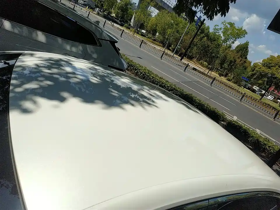 Wuling Wuling Starlight