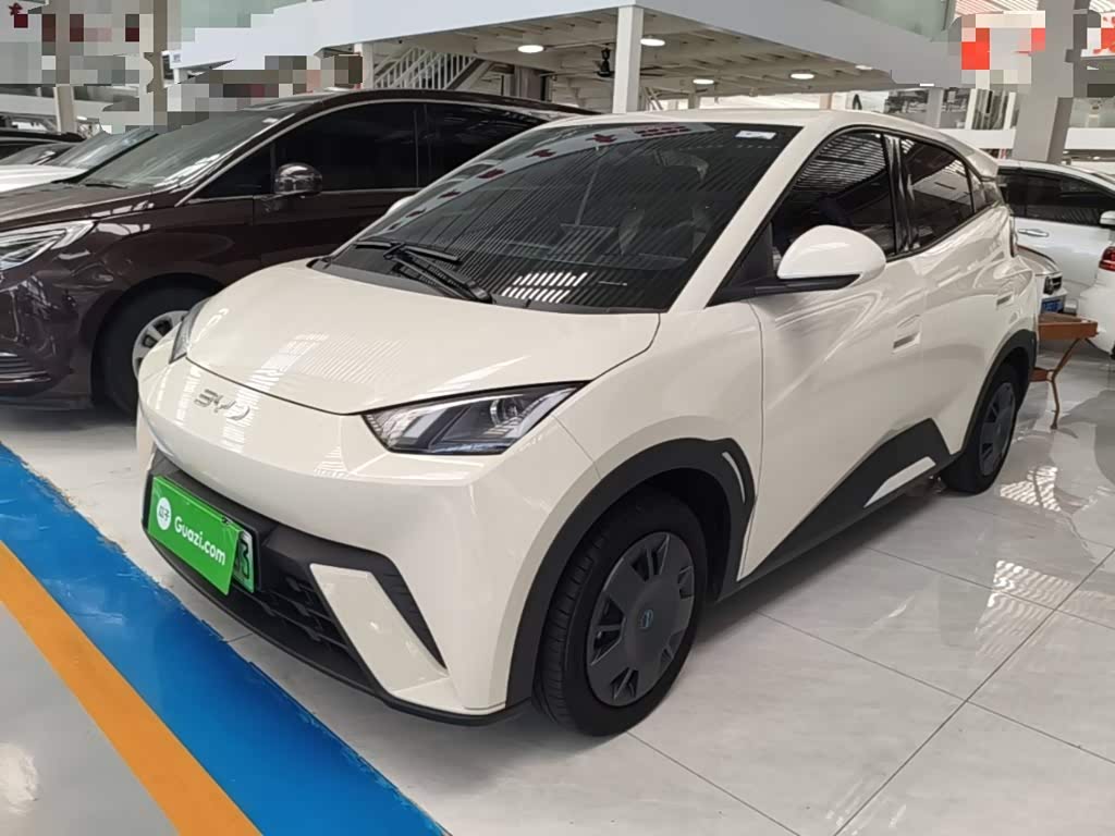 BYD Seagull