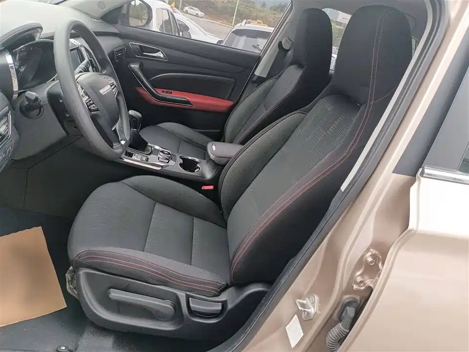 Leopaard Cheetah CS9