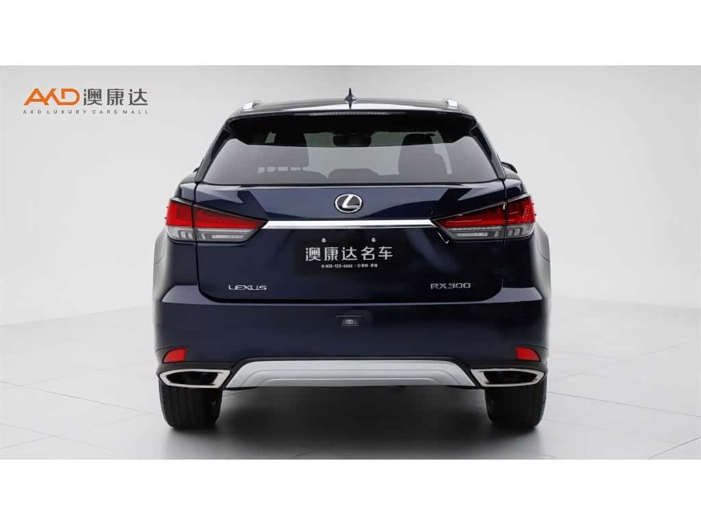 Lexus RX, 2021 4