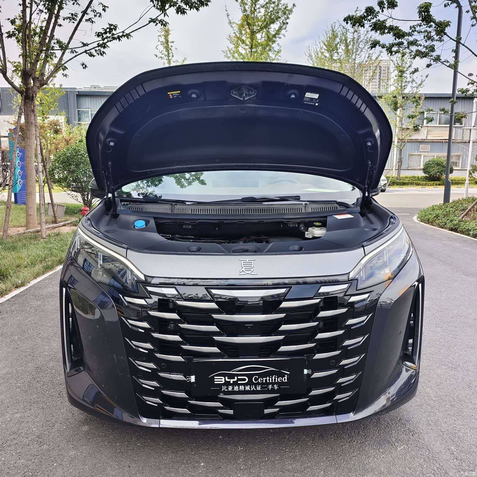 BYD Xia, 2025 2