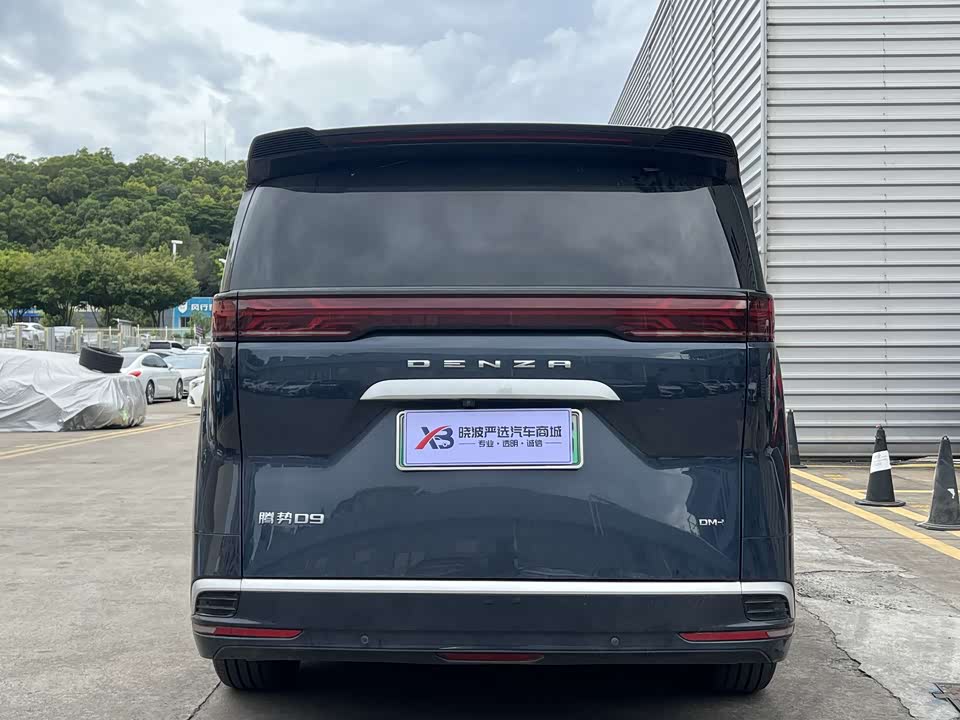 Denza D9