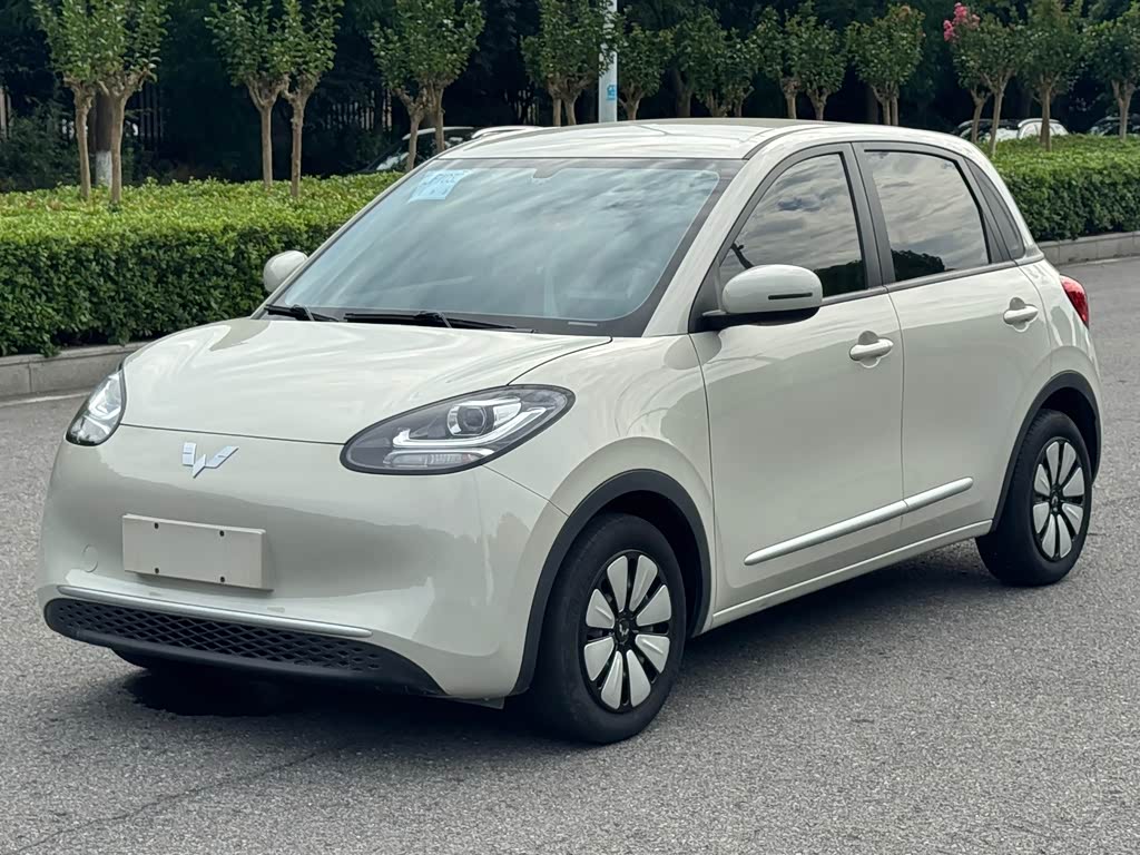 Wuling Binguo