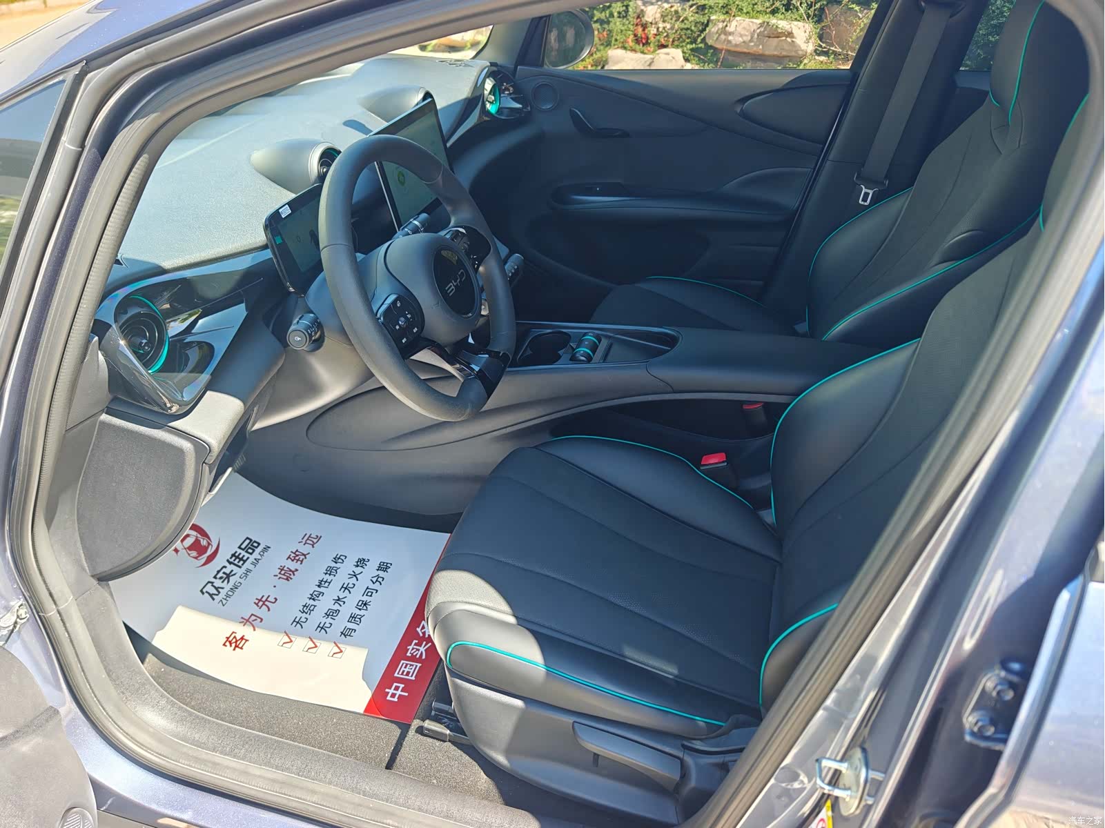 BYD Dolphin, 2024 12