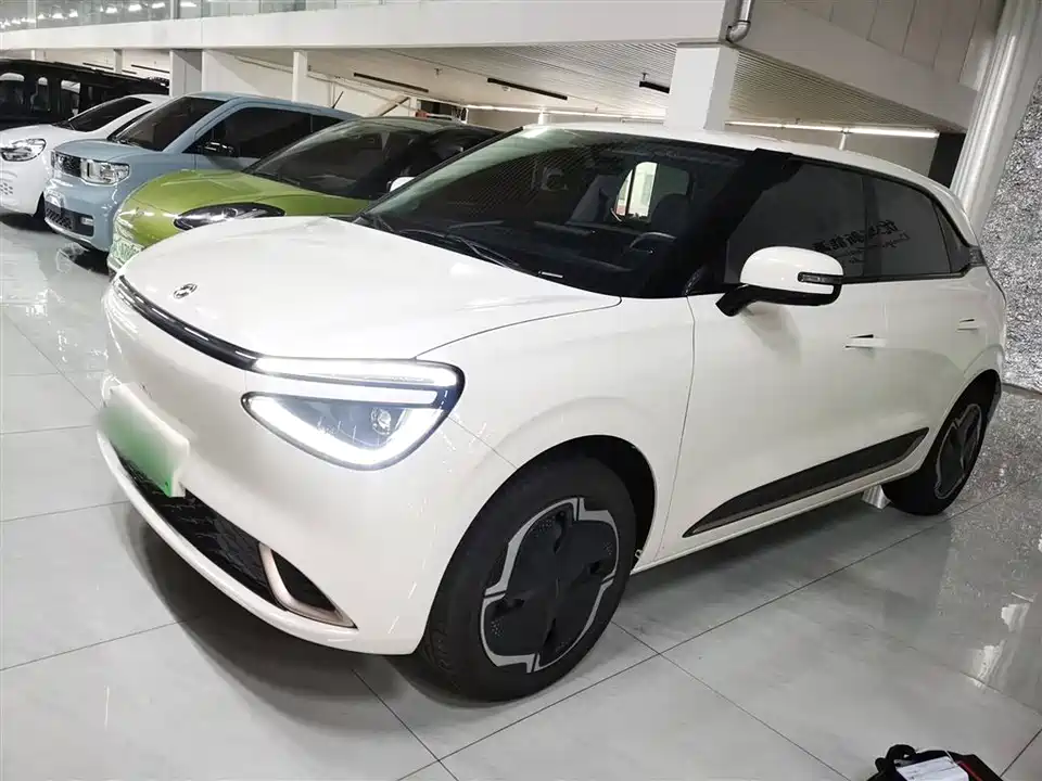 Dongfeng Nammi Nano 01