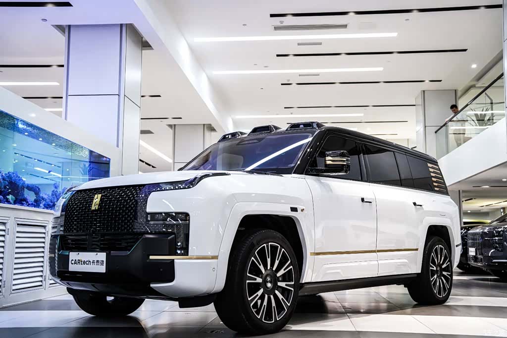 Yangwang U8, 2025 30