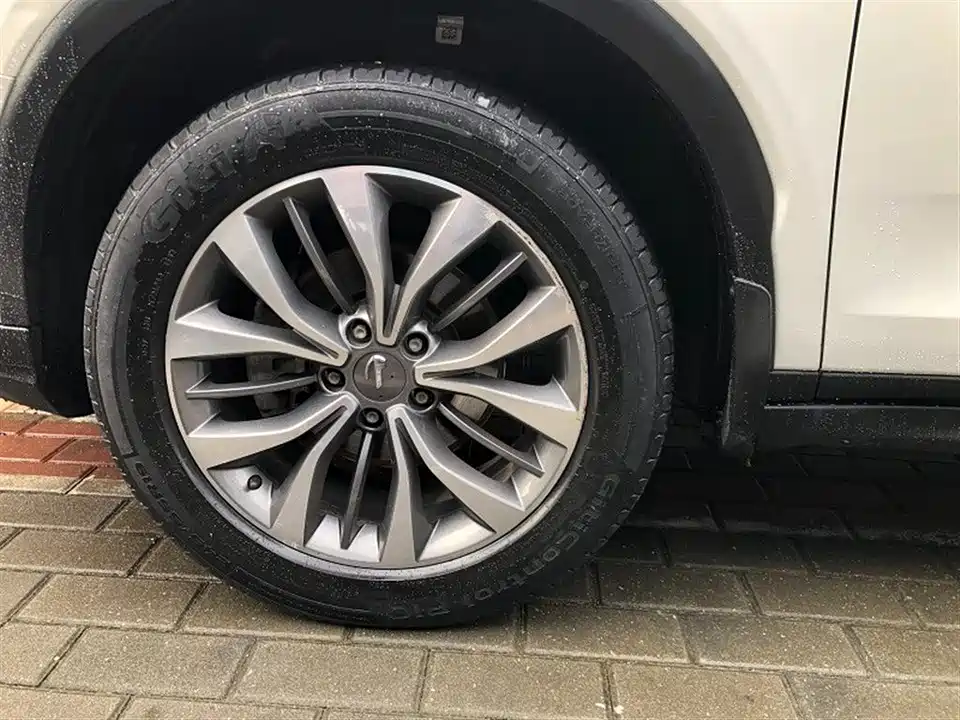 Trumpchi Trumpchi GS8