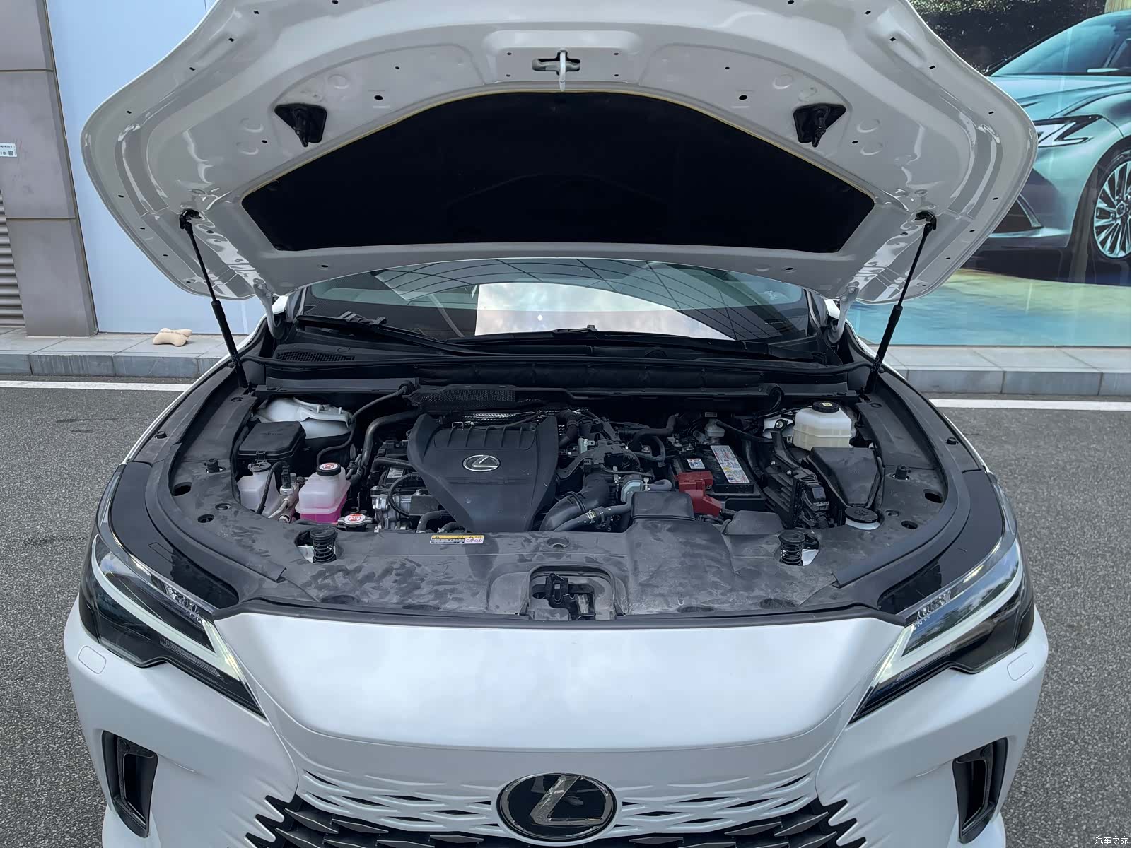 Lexus RX, 2024 9