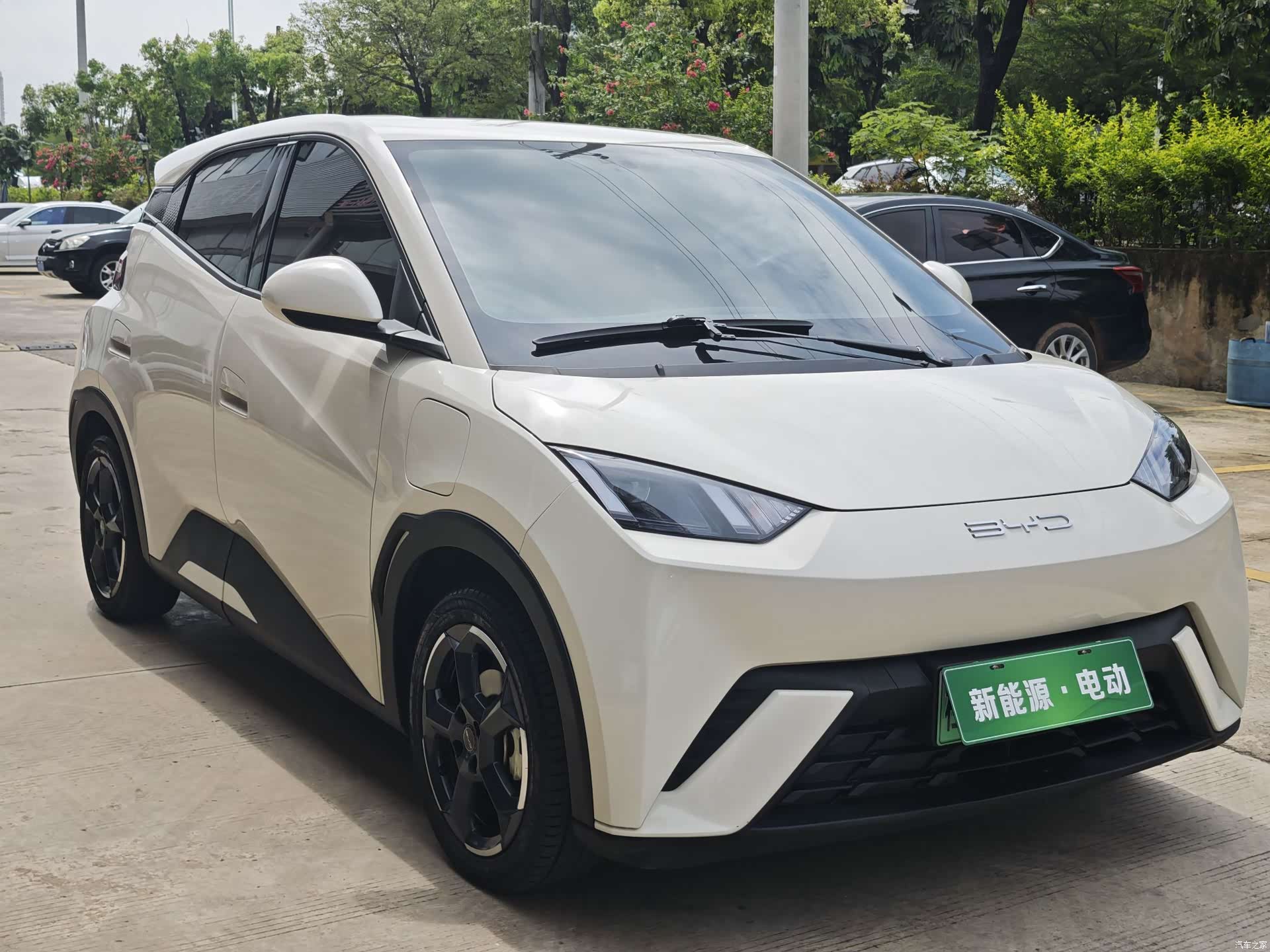 BYD Seagull, 2023 2