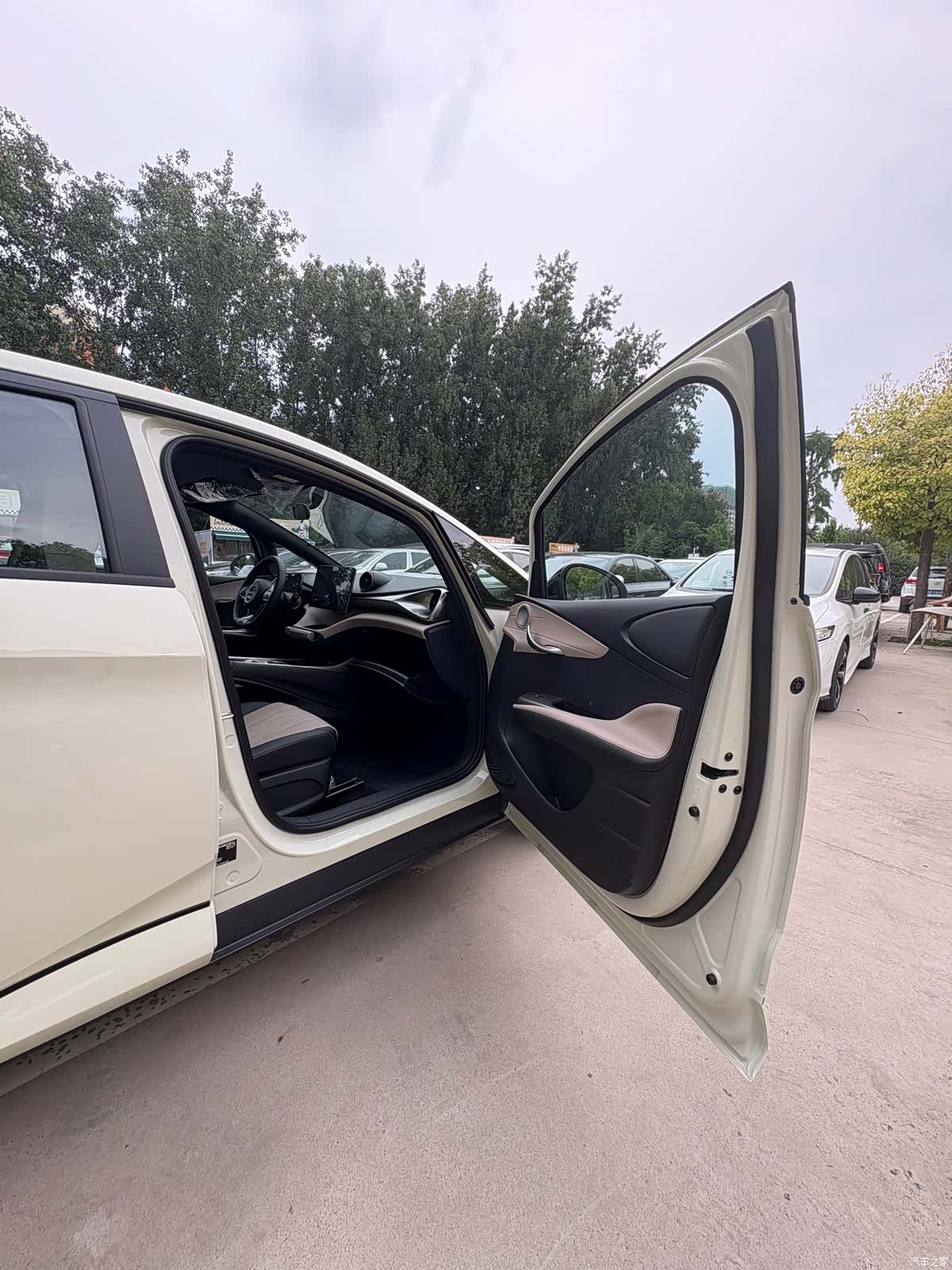 BYD Dolphin, 2026 10