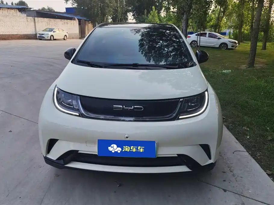BYD dolphin