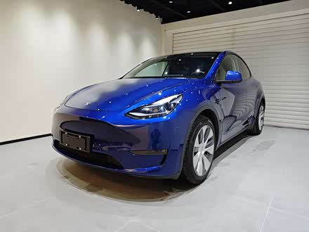 Model Y 2021 ׼