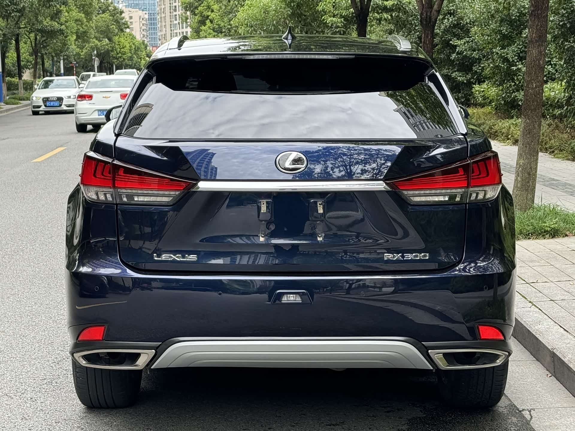 Lexus RX, 2022 4