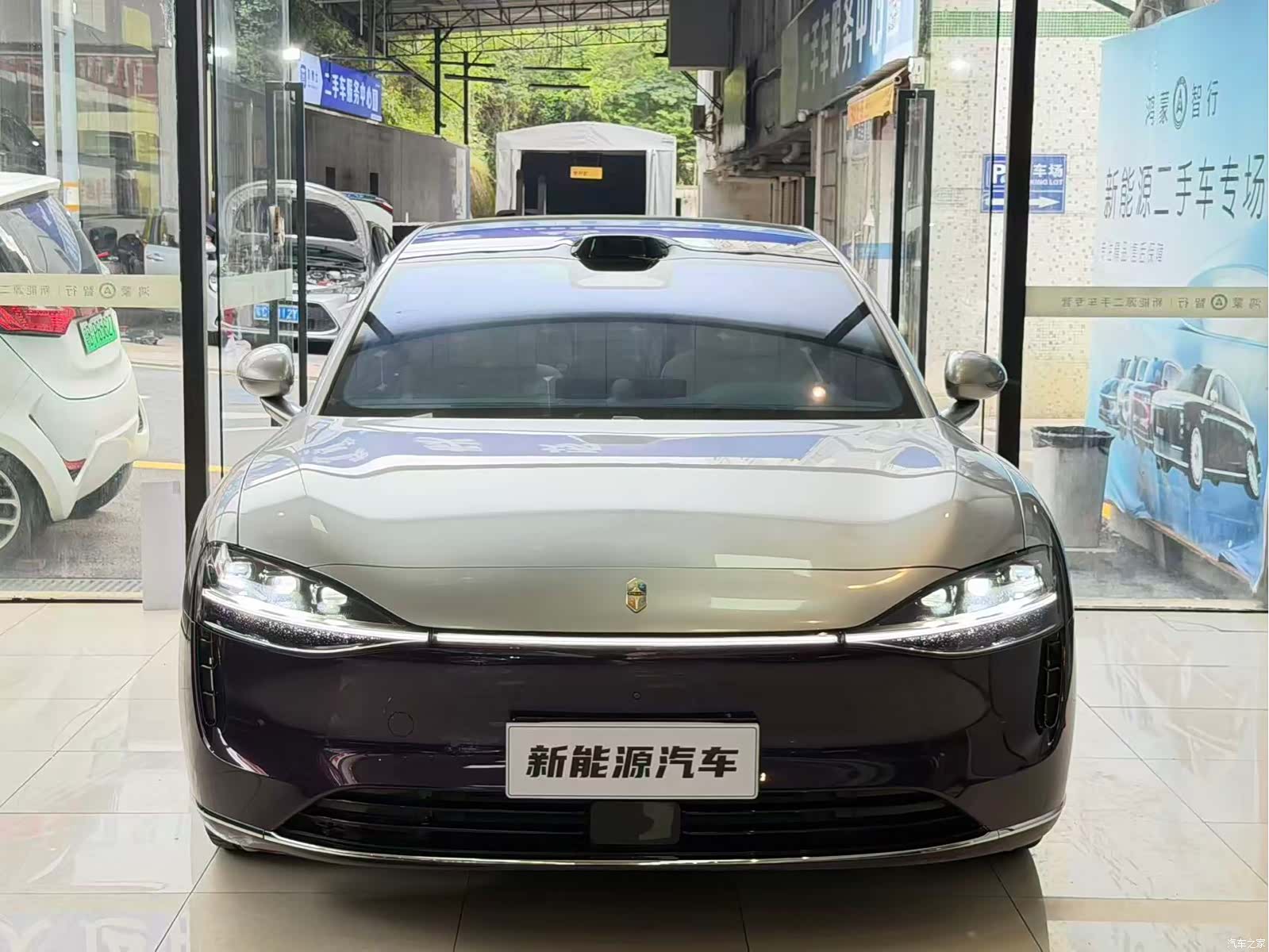 Stelato S9, 2024 2