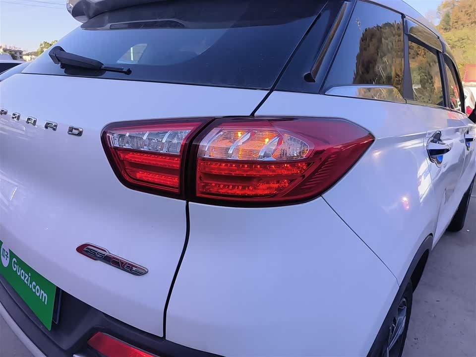 Leopaard Cheetah CS9