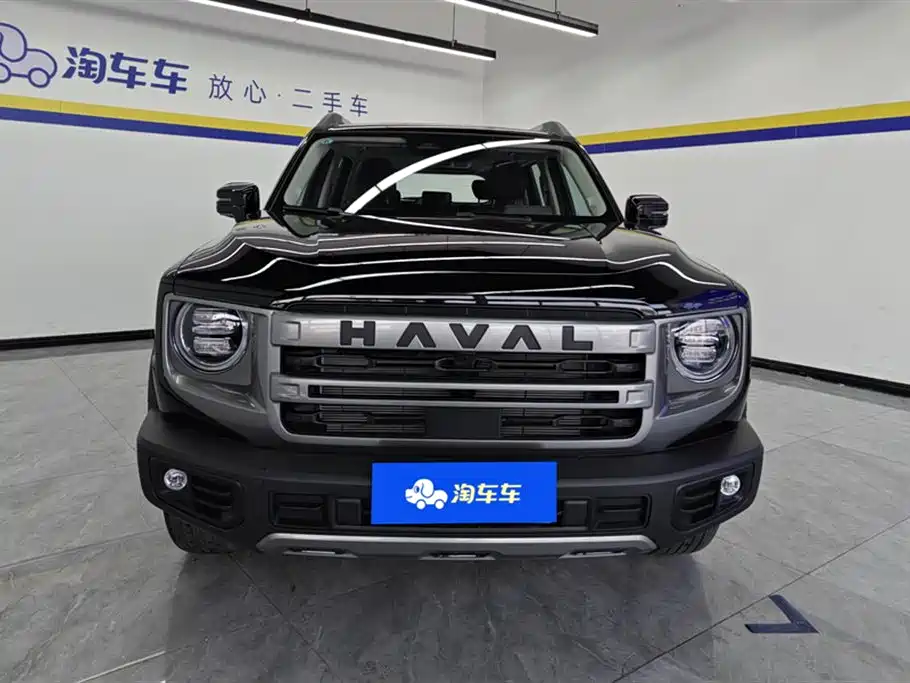 Haval Big dog