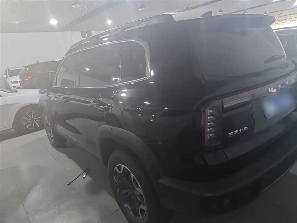 Haval Big dog