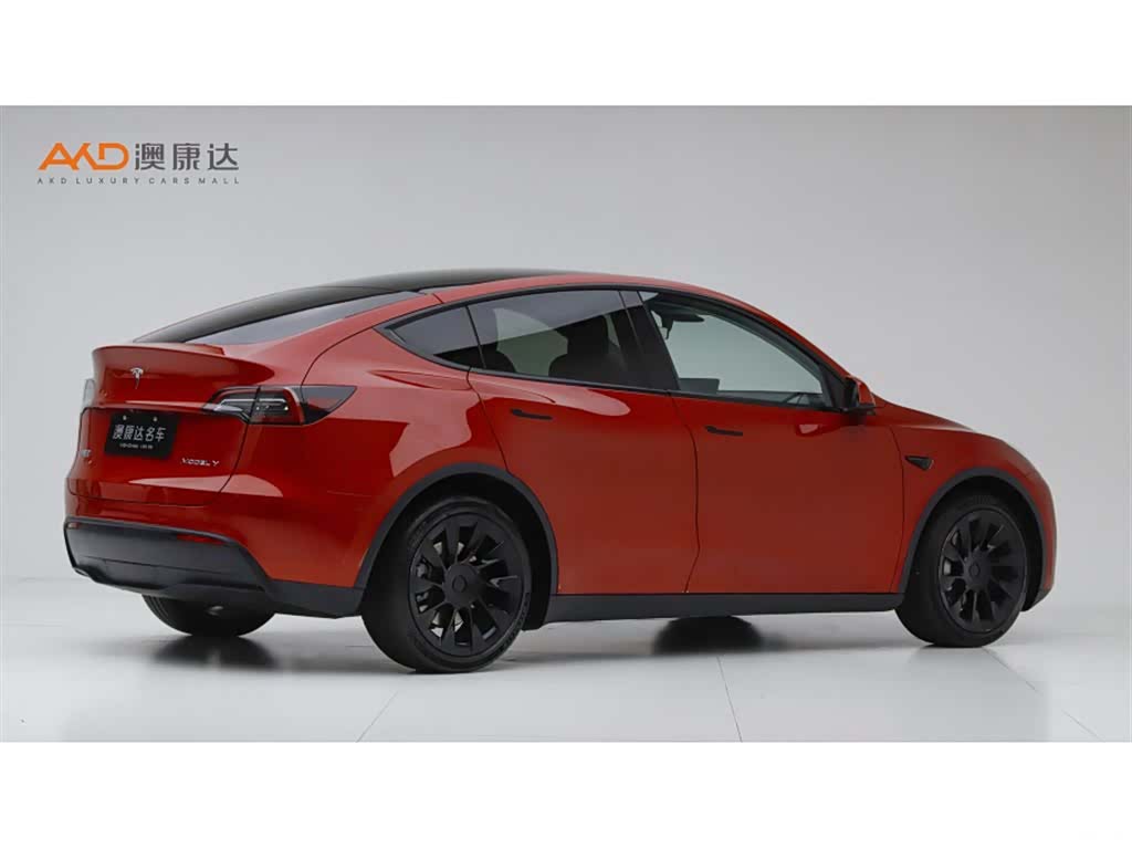 Tesla Model Y, 2021 3