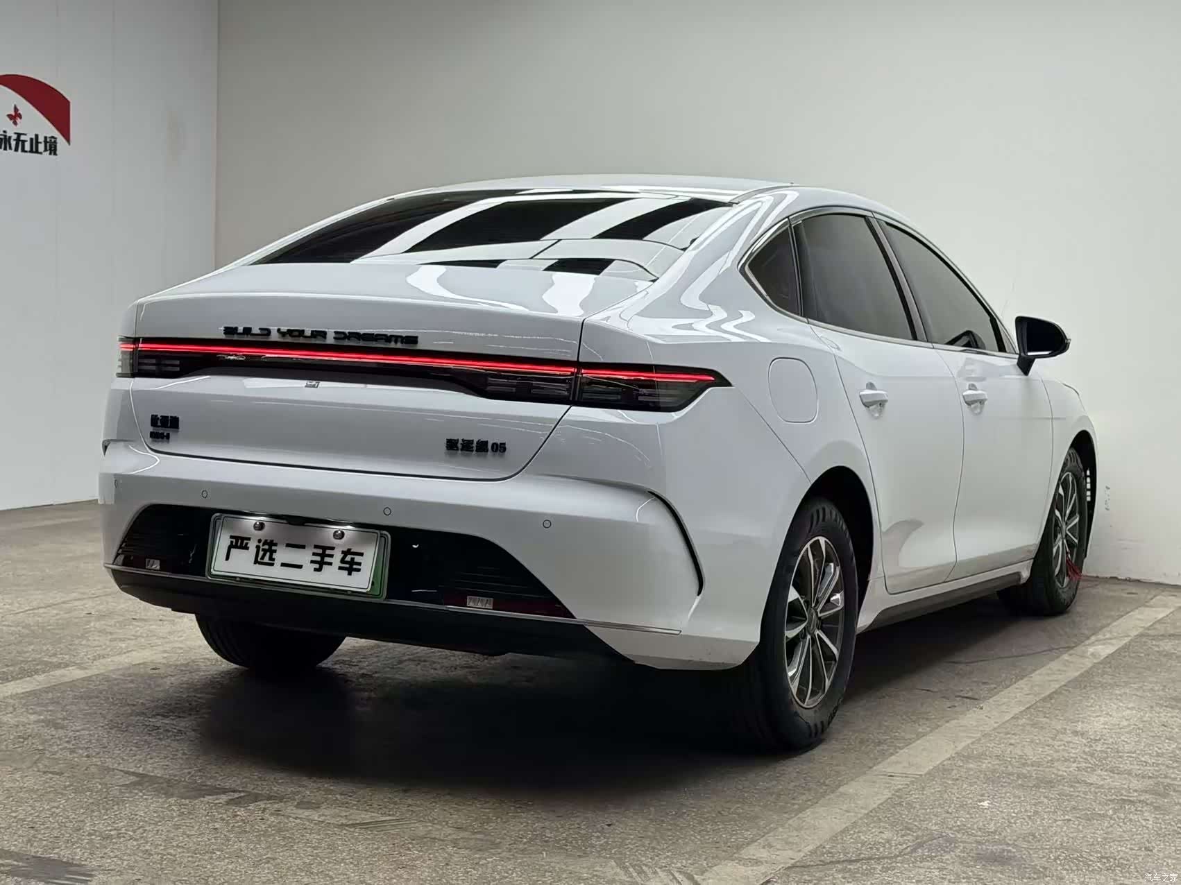 BYD Destroyer 05, 2024 все фото