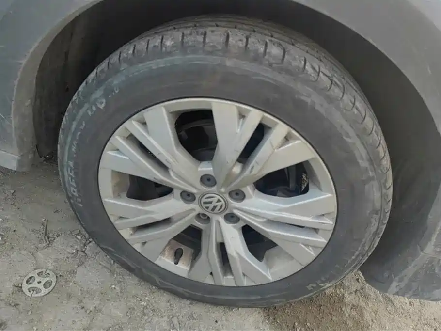 Volkswagen C-TREK Wei Collar