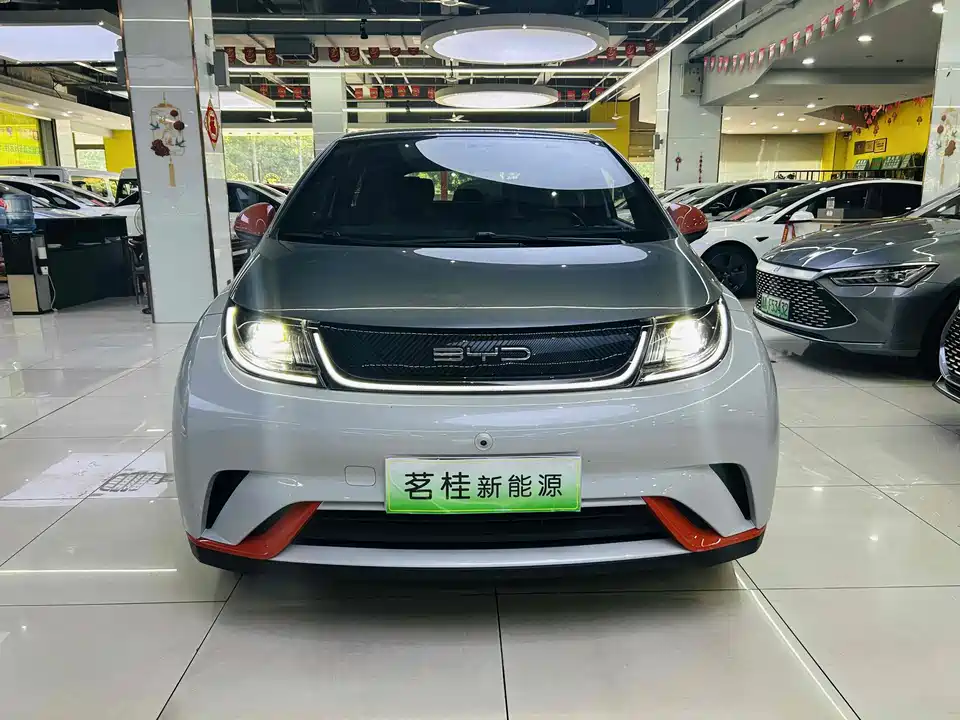 BYD dolphin