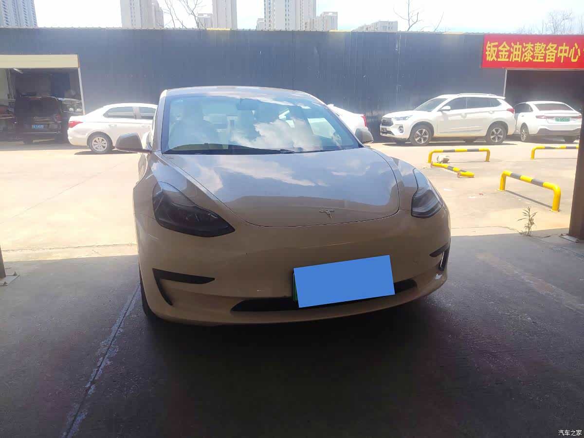 Tesla Model 3, 2021 3