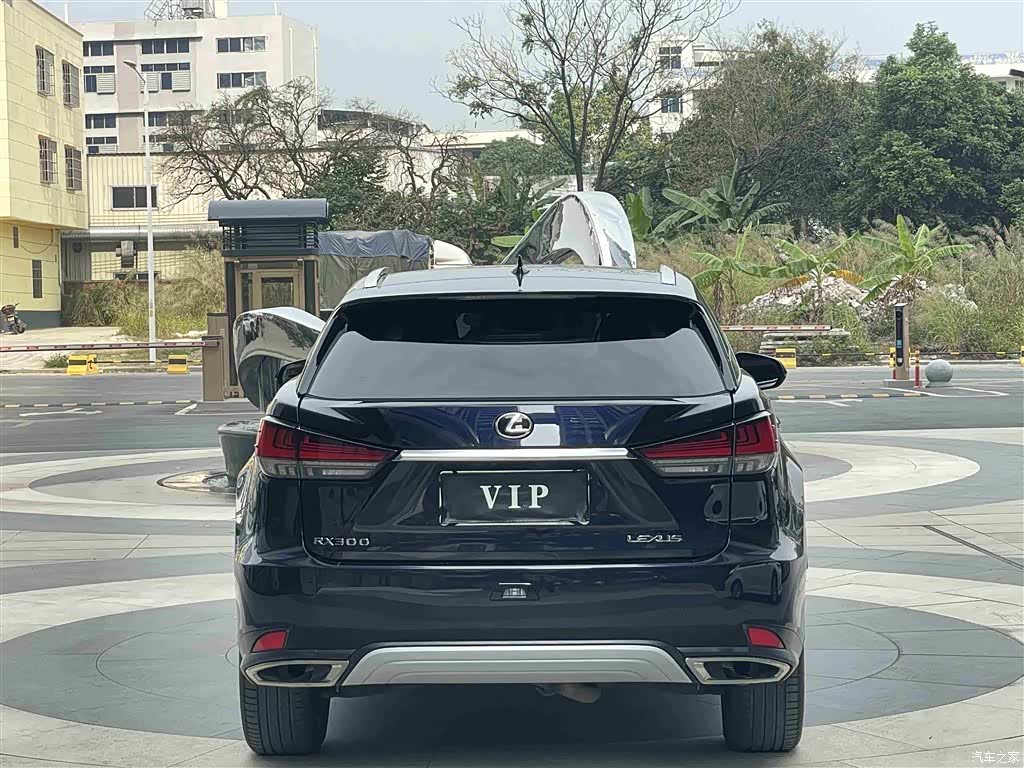 Lexus RX, 2021 все фото