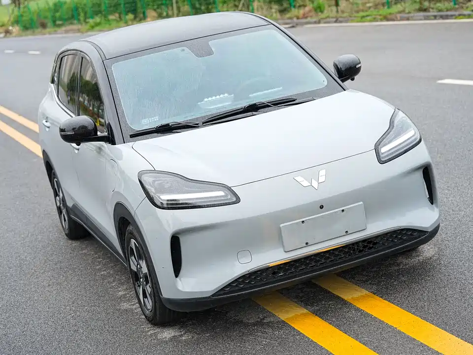 Wuling Wuling Bingguo PLUS