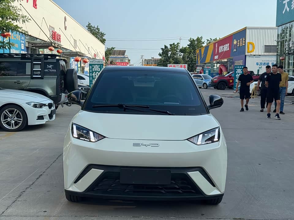 BYD Seagull