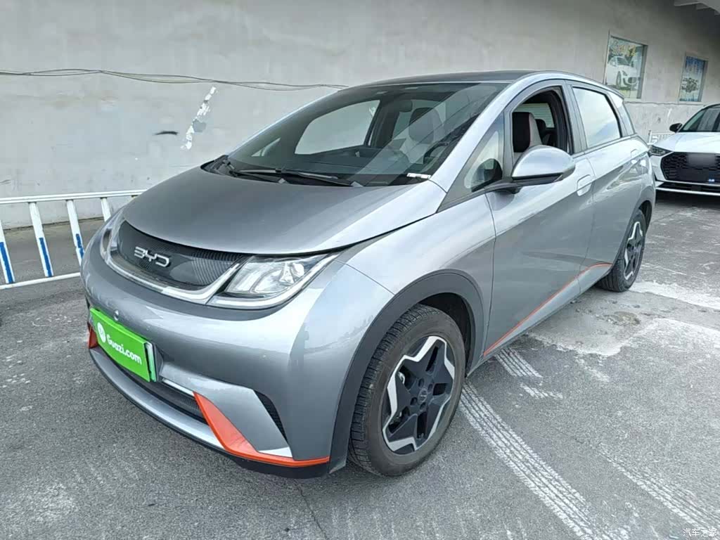 BYD Dolphin, 2023 1