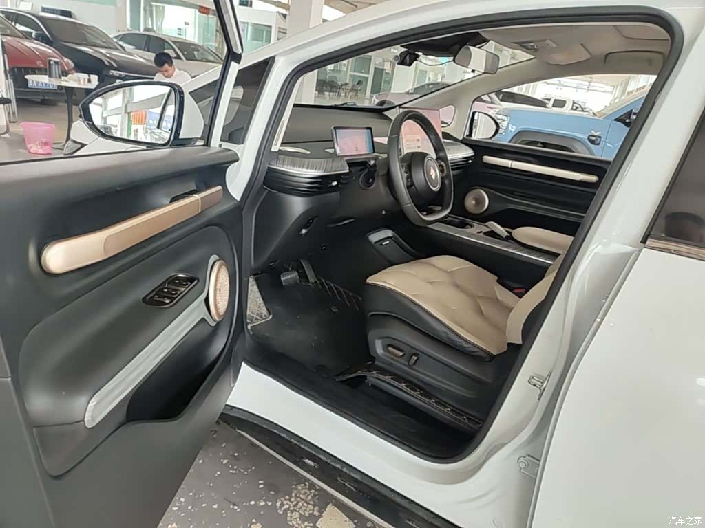 Wuling 460, 2023 16