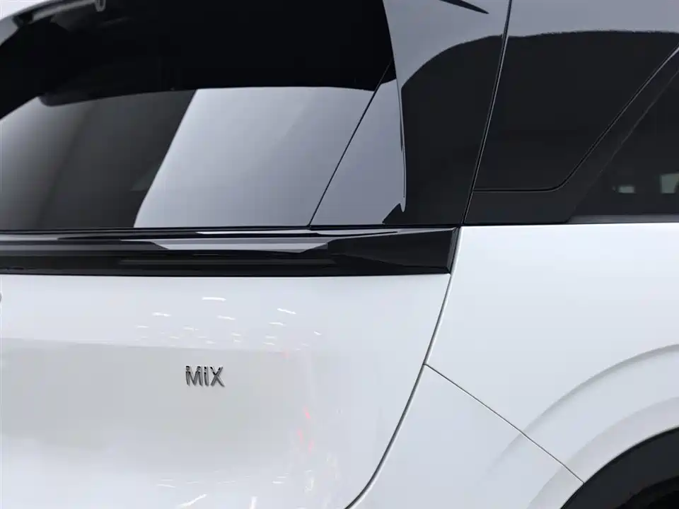 Zeekr MIX