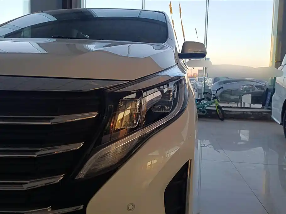 Trumpchi Trumpchi M8